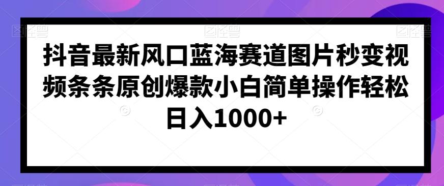 抖音最新风口蓝海赛道图片秒变视频条条原创爆款小白简单操作轻松日入1000+-策里行间
