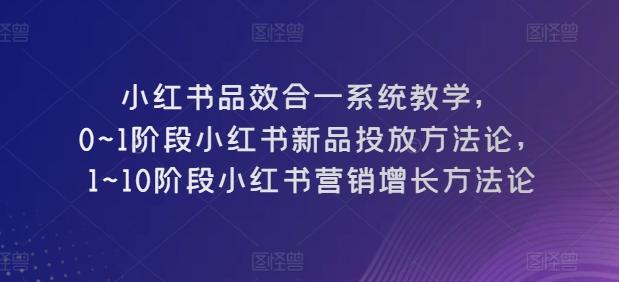 小红书品效合一系统教学，​0~1阶段小红书新品投放方法论，​1~10阶段小红书营销增长方法论-策里行间