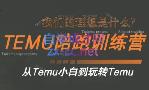 苗苗·拼多多跨境（temu）课程-策里行间
