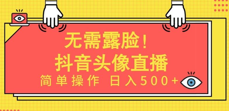 无需露脸，Ai头像直播项目，简单操作日入500+【揭秘】-策里行间