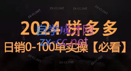 恒哥·2024拼多多日销0-100单实操-策里行间