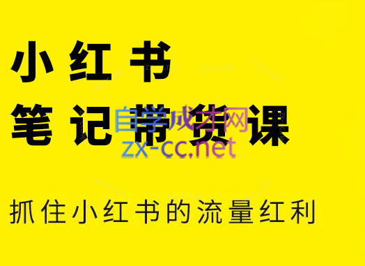 张宾·小红书笔记带货课(更新24年7月)-策里行间
