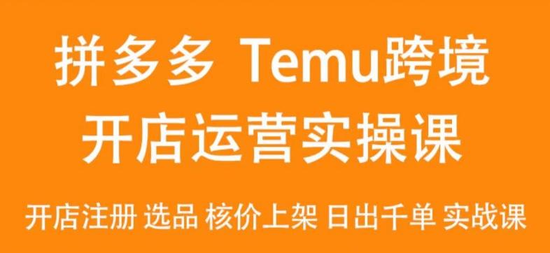 2024Temu最新玩法，Temu跨境开店运营实操课，开店注册/选品/核价上架/日出千单实战课-策里行间