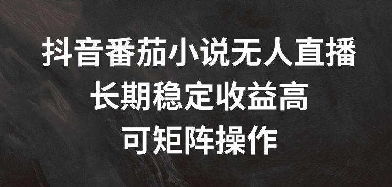 抖音番茄小说无人直播，长期稳定收益高，可矩阵操作【揭秘】-策里行间