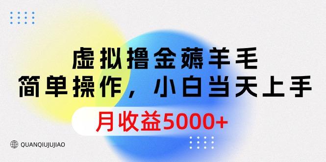 (9864期)虚拟撸金薅羊毛，简单操作，小白当天上手，月收益5000+-策里行间