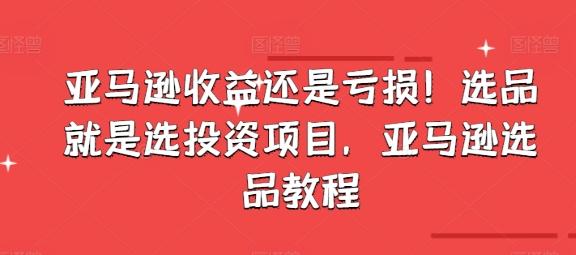 亚马逊收益还是亏损！选品就是选投资项目，亚马逊选品教程-策里行间