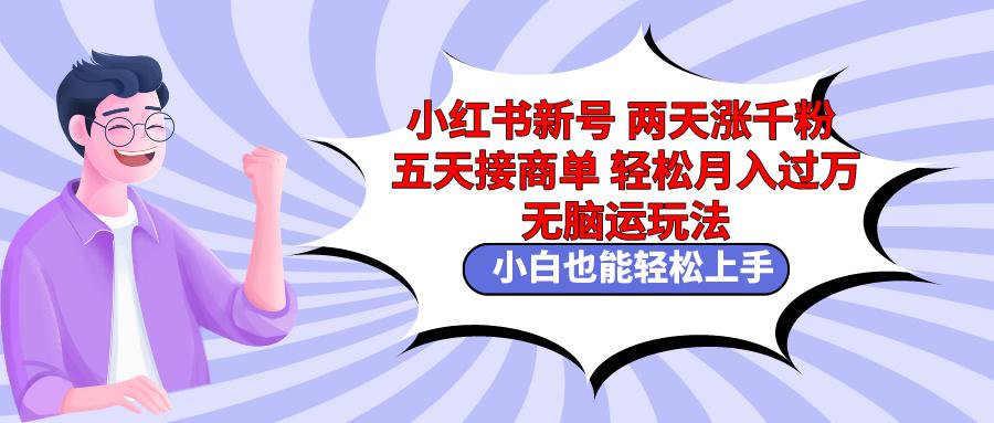 小红书新号两天涨千粉五天接商单轻松月入过万 无脑搬运玩法 小白也能轻…-策里行间