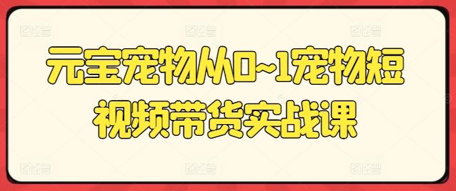 元宝宠物从0~1宠物短视频带货实战课-策里行间