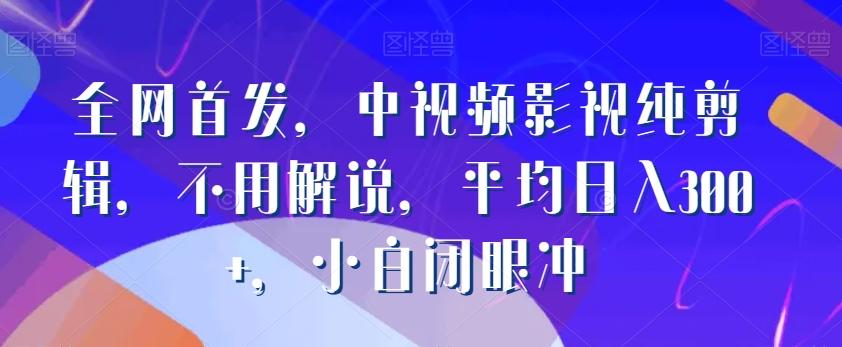 全网首发，中视频影视纯剪辑，不用解说，平均日入300+，小白闭眼冲-策里行间