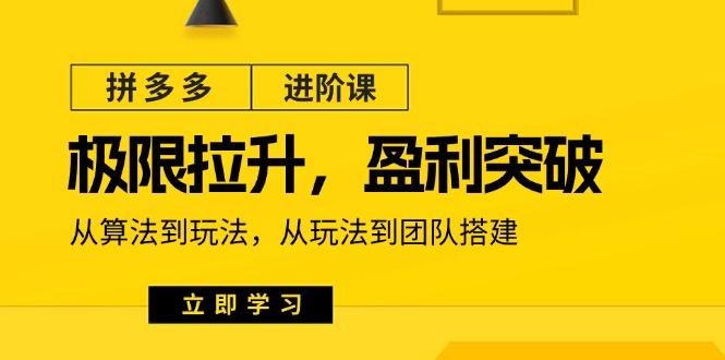 拼多多·进阶课：极限拉升/盈利突破：从算法到玩法 从玩法到团队搭建-18节-策里行间