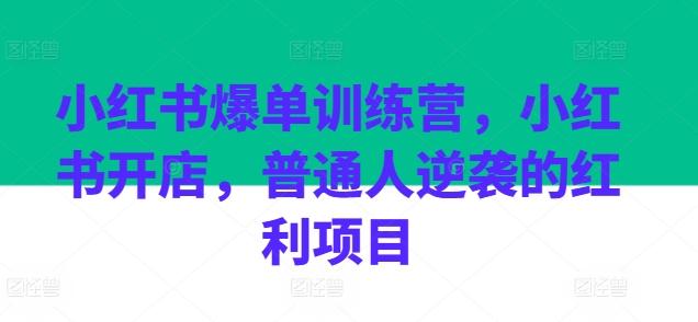 小红书爆单训练营，小红书开店，普通人逆袭的红利项目-策里行间