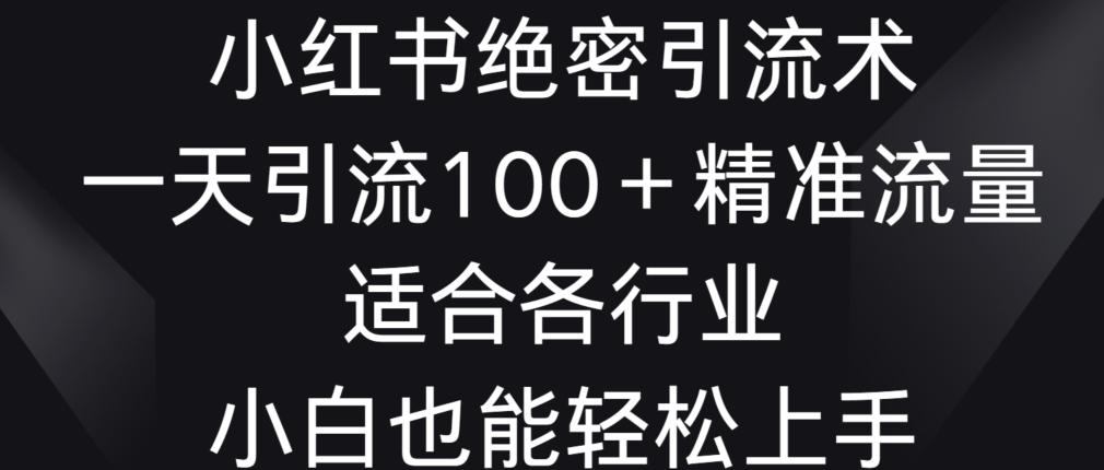小红书绝密引流术，一天引流100+精准流量，适合各个行业，小白也能轻松上手【揭秘】-策里行间