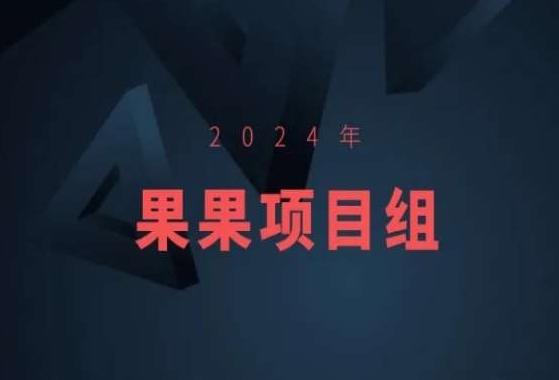 2024年果果项目组项目合集-果果最新项目-策里行间