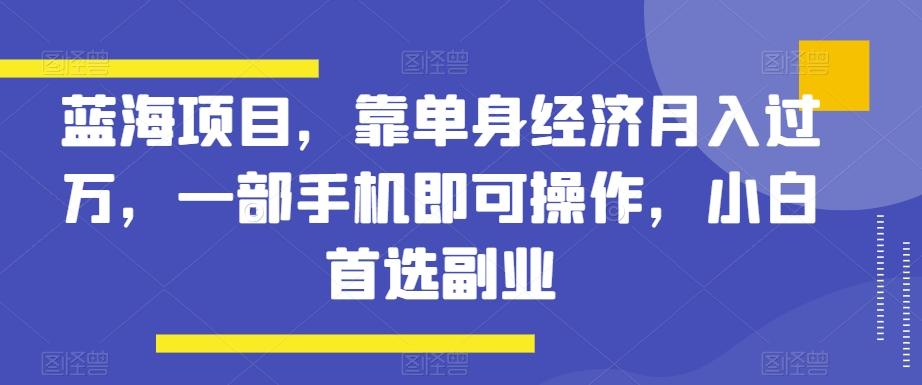 蓝海项目，靠单身经济月入过万，一部手机即可操作，小白首选副业【揭秘】-策里行间