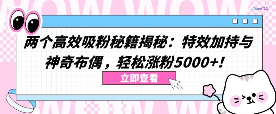 两个高效吸粉秘籍揭秘：特效加持与神奇布偶，轻松涨粉5000+【揭秘】-策里行间