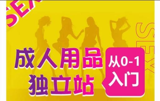 成人用品独立站从0-1入门，成品独立站运营全流程教学，七大好卖成品独立站推荐-策里行间