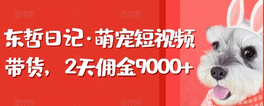 东哲日记·萌宠短视频带货，2天佣金9000+-策里行间