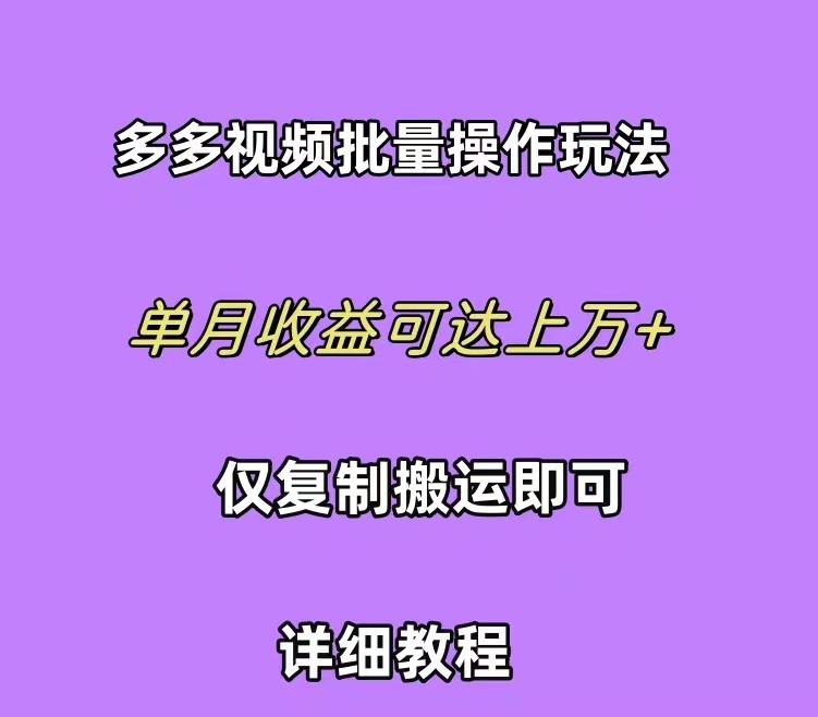 (10029期)拼多多视频带货快速过爆款选品教程 每天轻轻松松赚取三位数佣金 小白必…-策里行间