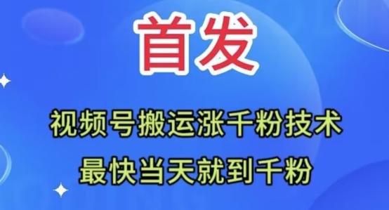 全网首发：视频号无脑搬运涨千粉技术，最快当天到千粉【揭秘】-策里行间