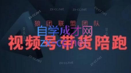 狼团联盟·2024视频号带货-策里行间