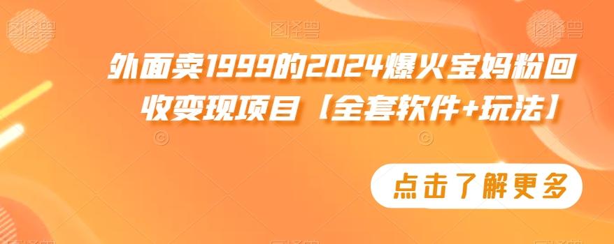 外面卖1999的2024爆火宝妈粉回收变现项目【全套软件+玩法】【揭秘】-策里行间