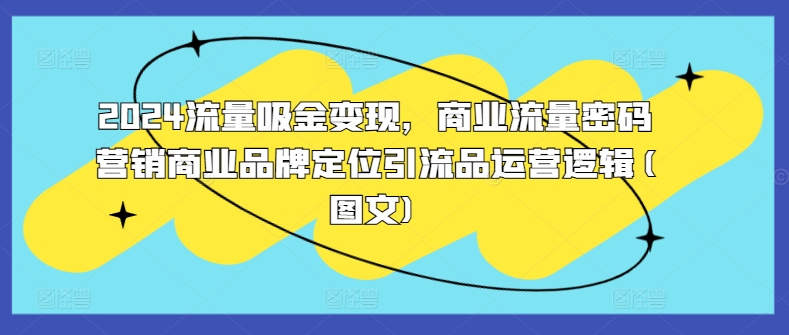 2024流量吸金变现，商业流量密码营销商业品牌定位引流品运营逻辑(图文)-策里行间