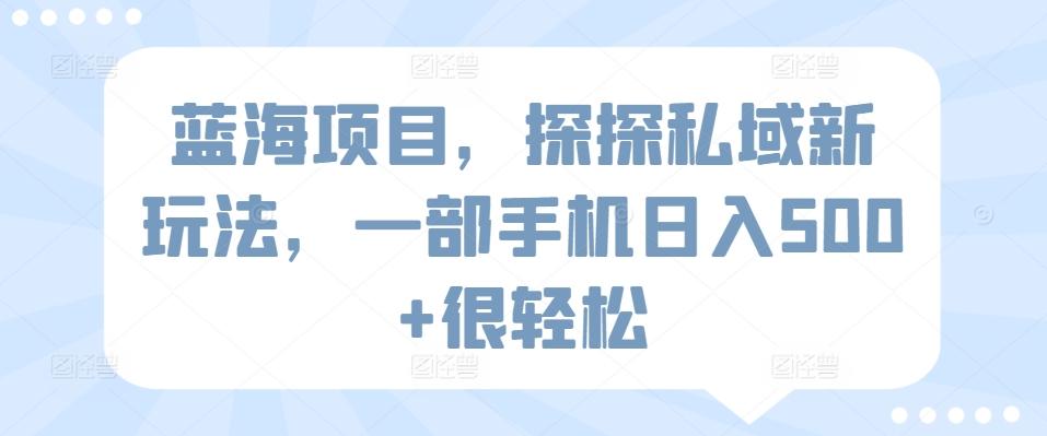 蓝海项目，探探私域新玩法，一部手机日入500+很轻松【揭秘】-策里行间