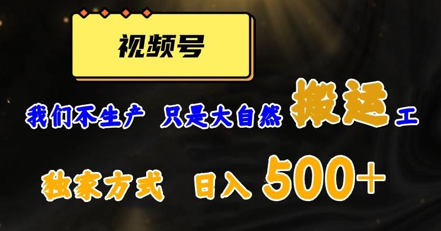 视频号轻松搬运日赚500+，一个1分钟1条原创视频【揭秘】-策里行间