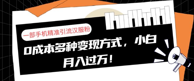 一部手机精准引流汉服粉，0成本多种变现方式，小白月入过万！-策里行间
