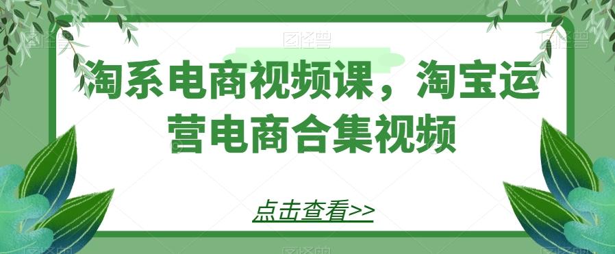 淘系电商视频课，淘宝运营电商合集视频-策里行间