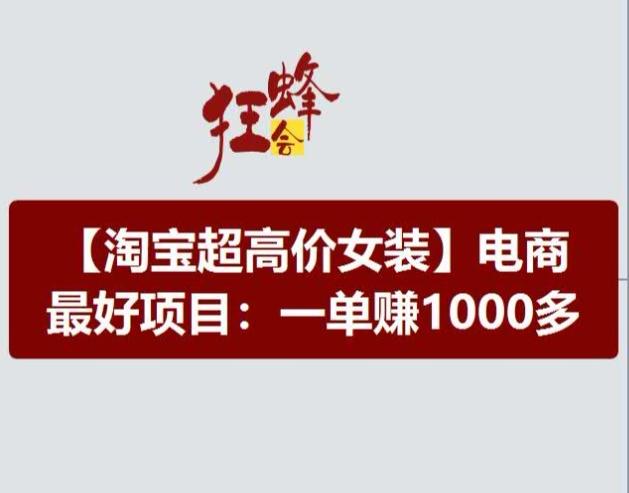 淘宝超高价女装项目，电商最好赛道，一单赚1000多-策里行间