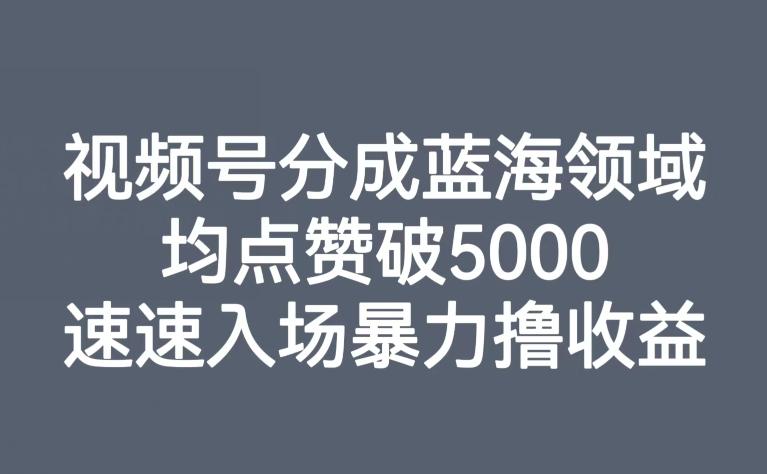 视频号分成蓝海领域，均点赞破5000，速速入场暴力撸收益-策里行间