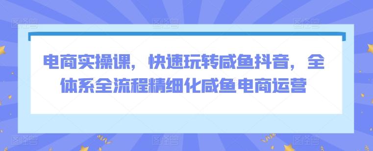 电商实操课，快速玩转咸鱼抖音，全体系全流程精细化咸鱼电商运营-策里行间