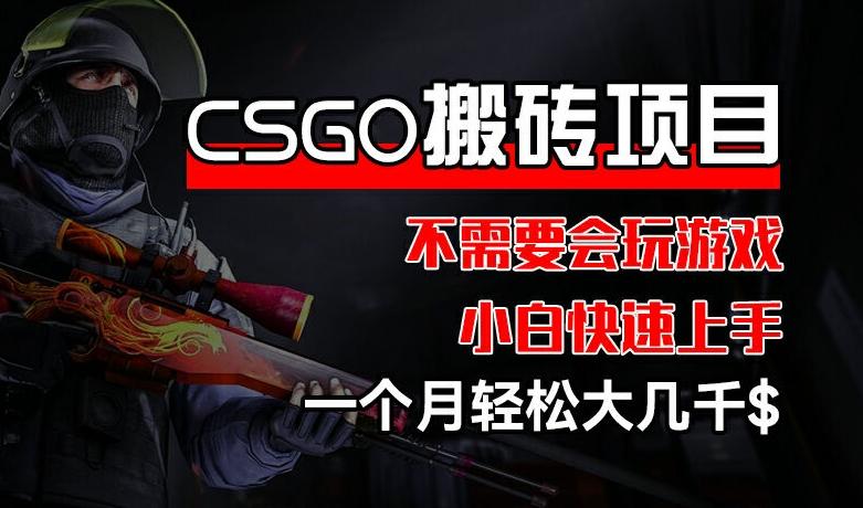 CSGO 装备搬砖项目，操作简单，不需要会玩游戏，小白也能快速上手，一个月轻松大几千【揭秘】-策里行间