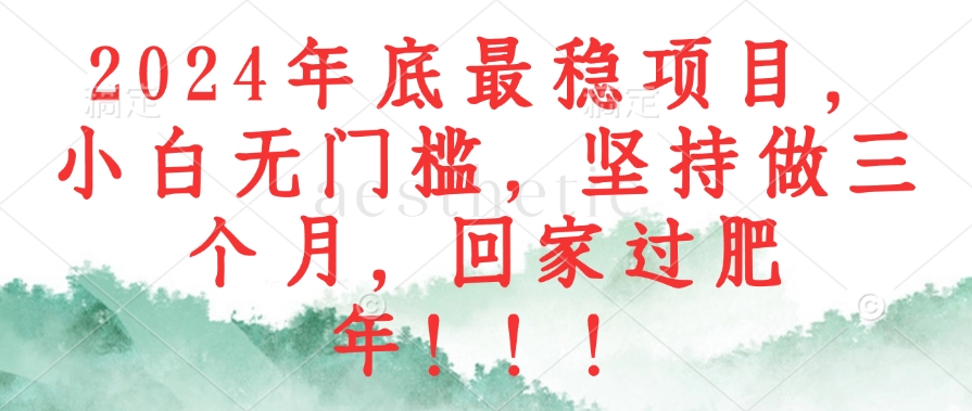 2024年底最稳项目，小白无门槛，坚持做三个月，回家过肥年！！！-策里行间
