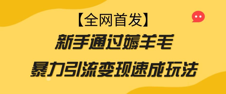 【全网首发】新手通过薅羊毛暴力引流变现速成玩法-策里行间