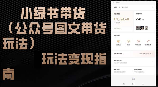 小绿书带货(公众号图文带货玩法-策里行间