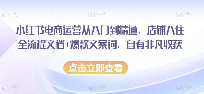 小红书电商运营从入门到精通，店铺入住全流程文档+爆款文案词，自有非凡收获-策里行间