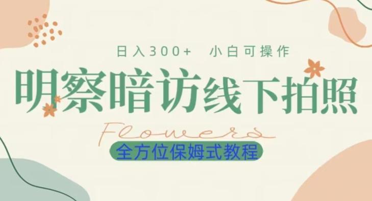 明拍暗拍项目0成本投入日入300+小白可操作保姆式全方位教程-策里行间