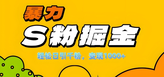 单人单机日引千粉，变现1k+，S粉流量掘金计划攻略【揭秘】-策里行间