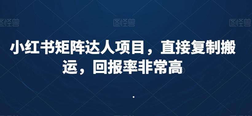 小红书矩阵达人项目，直接复制搬运，回报率非常高-策里行间