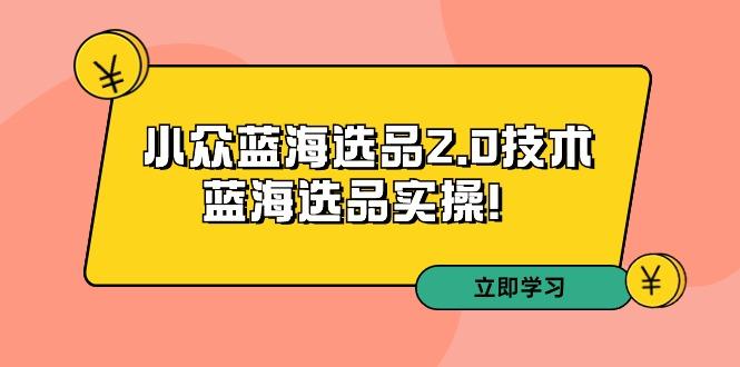 拼多多培训第33期：小众蓝海选品2.0技术-蓝海选品实操！-策里行间