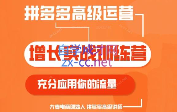 大麦老师·拼多多单品爆款打造课程(更新6月)-策里行间