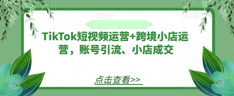 TikTok短视频运营+跨境小店运营，账号引流、小店成交-策里行间