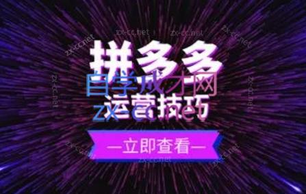 力辛电商·拼多多强付费店群玩法-策里行间
