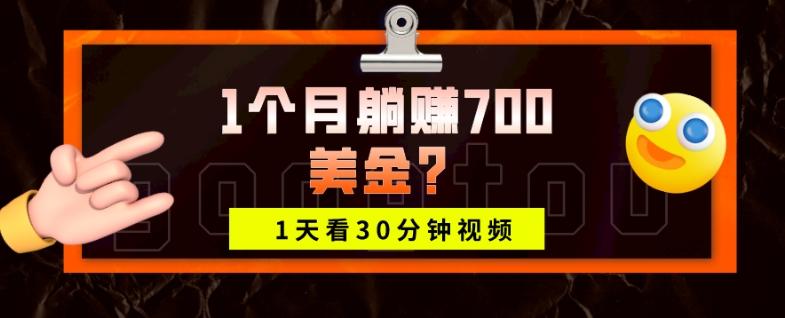 1天看30分钟视频，1个月躺赚700美金？-策里行间