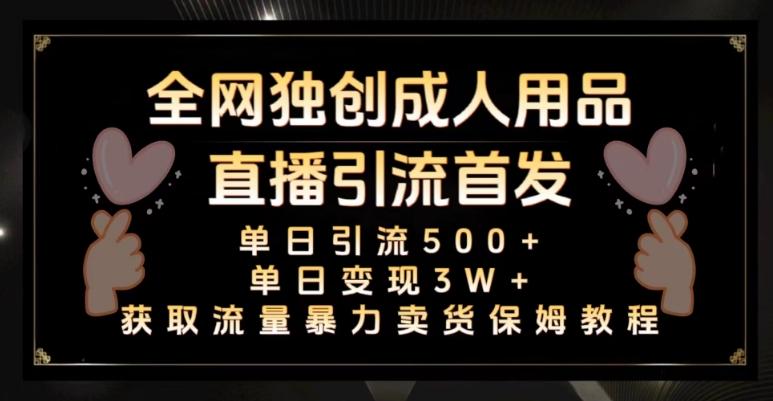 全网独创真人主播+无人直播单日引流500+，橙人用品暴力卖货单日变现3W+保姆似教学2.0【揭秘】-策里行间