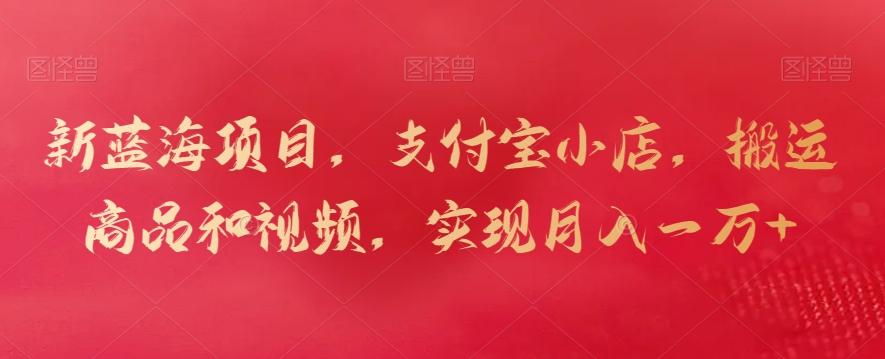 新蓝海项目，支付宝小店，搬运商品和视频，实现月入一万+【揭秘】-策里行间