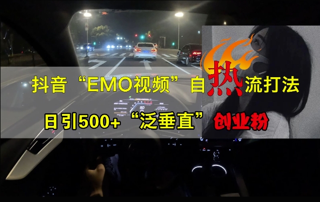 抖音EMO视频自热打法，日引500+“泛垂直”创业粉-策里行间