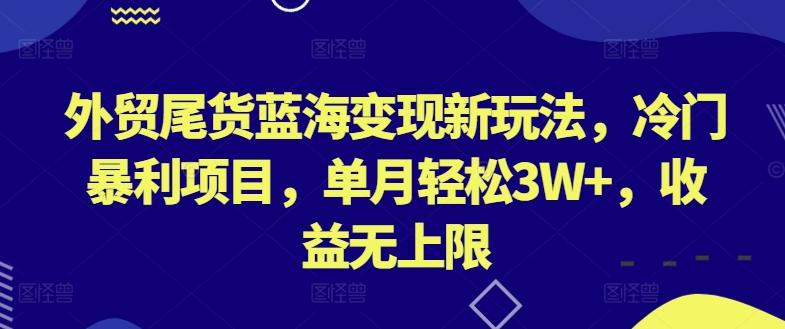 外贸尾货蓝海变现新玩法，冷门暴利项目，单月轻松3W+，收益无上限【揭秘】-策里行间